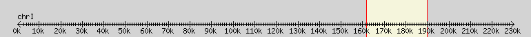 __scale__ overview