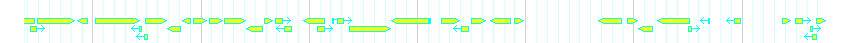 Genes detail