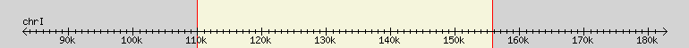 __scale__ region