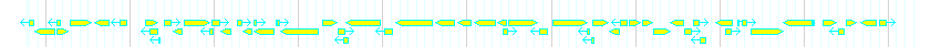 Genes detail