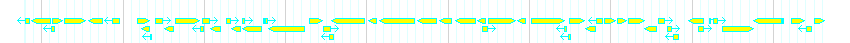 Genes detail