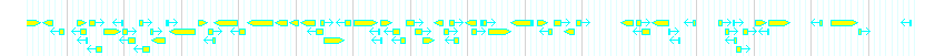 Genes detail