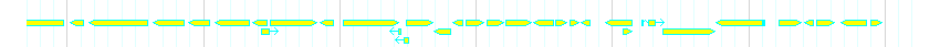 Genes detail