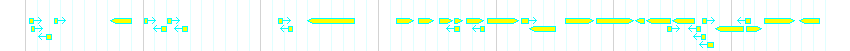 Genes detail