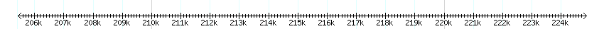 __scale__ detail