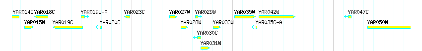 Genes detail