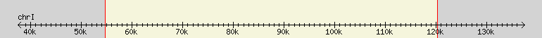 __scale__ region