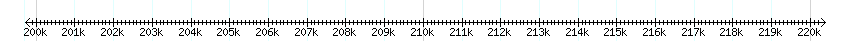 __scale__ detail