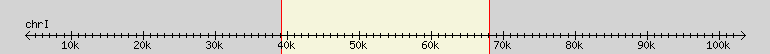 __scale__ region