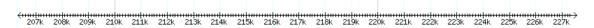 __scale__ detail