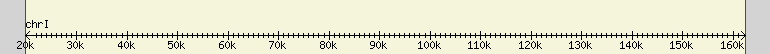 __scale__ region