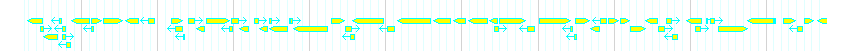 Genes detail