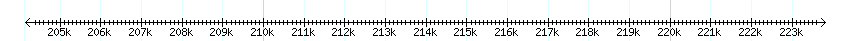__scale__ detail