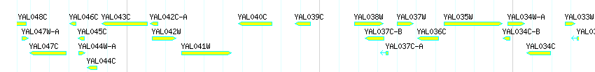 Genes detail