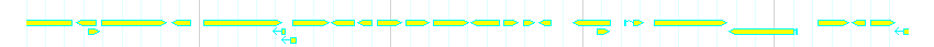 Genes detail