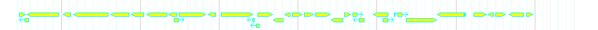 Genes detail