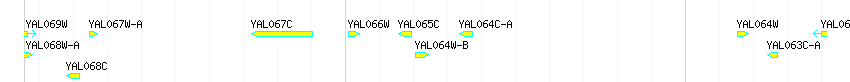 Genes detail