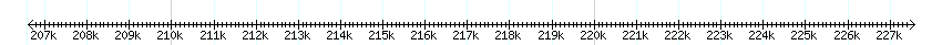 __scale__ detail
