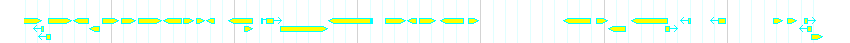 Genes detail