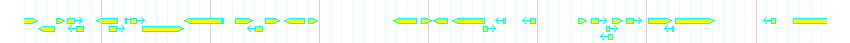 Genes detail