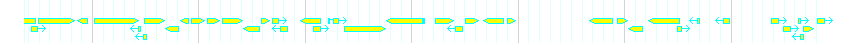 Genes detail