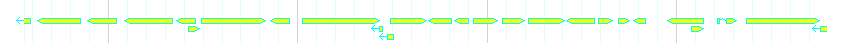 Genes detail