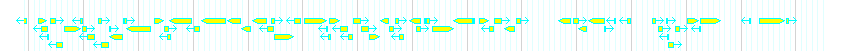 Genes detail