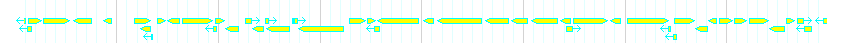 Genes detail