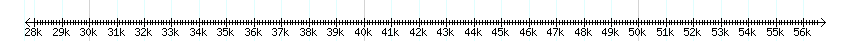 __scale__ detail