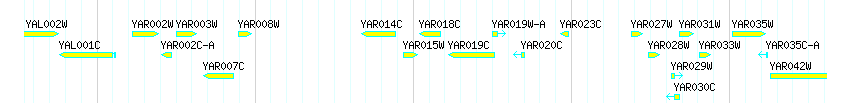 Genes detail