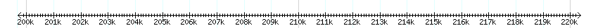 __scale__ detail