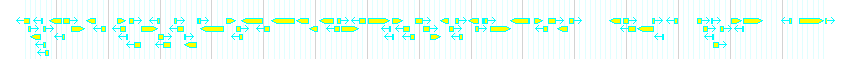 Genes detail