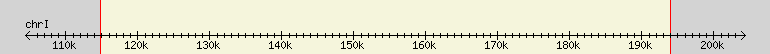 __scale__ region