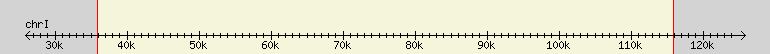 __scale__ region