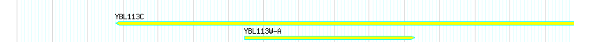 Genes detail