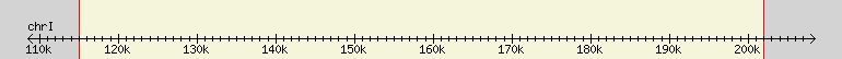__scale__ region