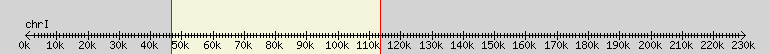 __scale__ overview