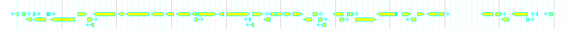 Genes detail