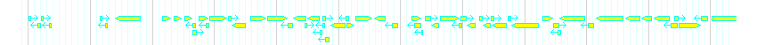 Genes detail