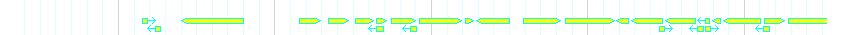 Genes detail