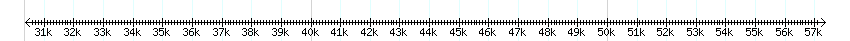 __scale__ detail