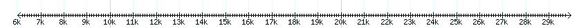 __scale__ detail
