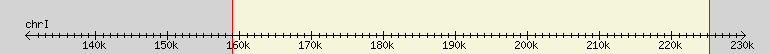 __scale__ region