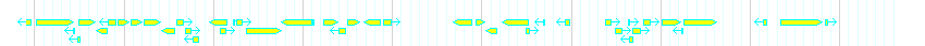 Genes detail