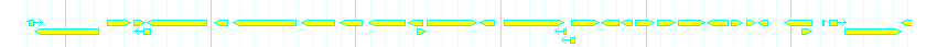 Genes detail