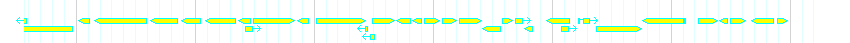 Genes detail