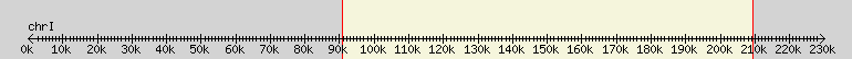 __scale__ overview