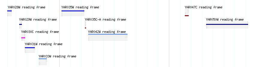 CDS detail