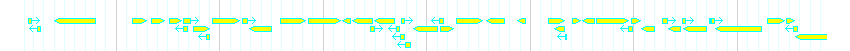 Genes detail