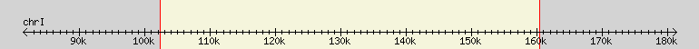 __scale__ region